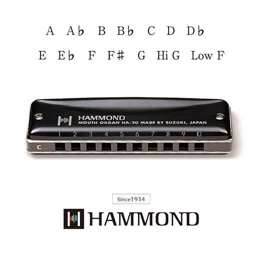 Suzuki Hammond HA-20 Mundharmonika (F#)