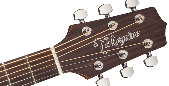 Takamine GD20-NS Western Guitar (Natur)