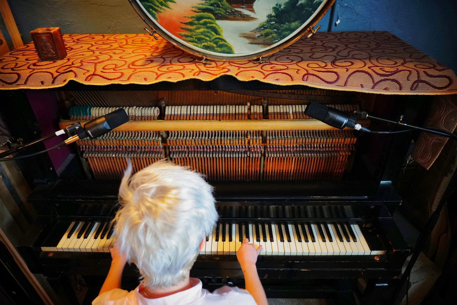 sE Electronics X1S Kondesator Studie Mikrofon