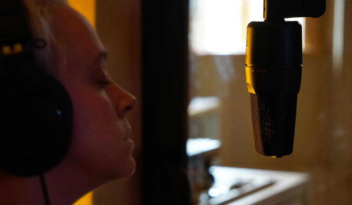 sE Electronics X1S Kondesator Studie Mikrofon