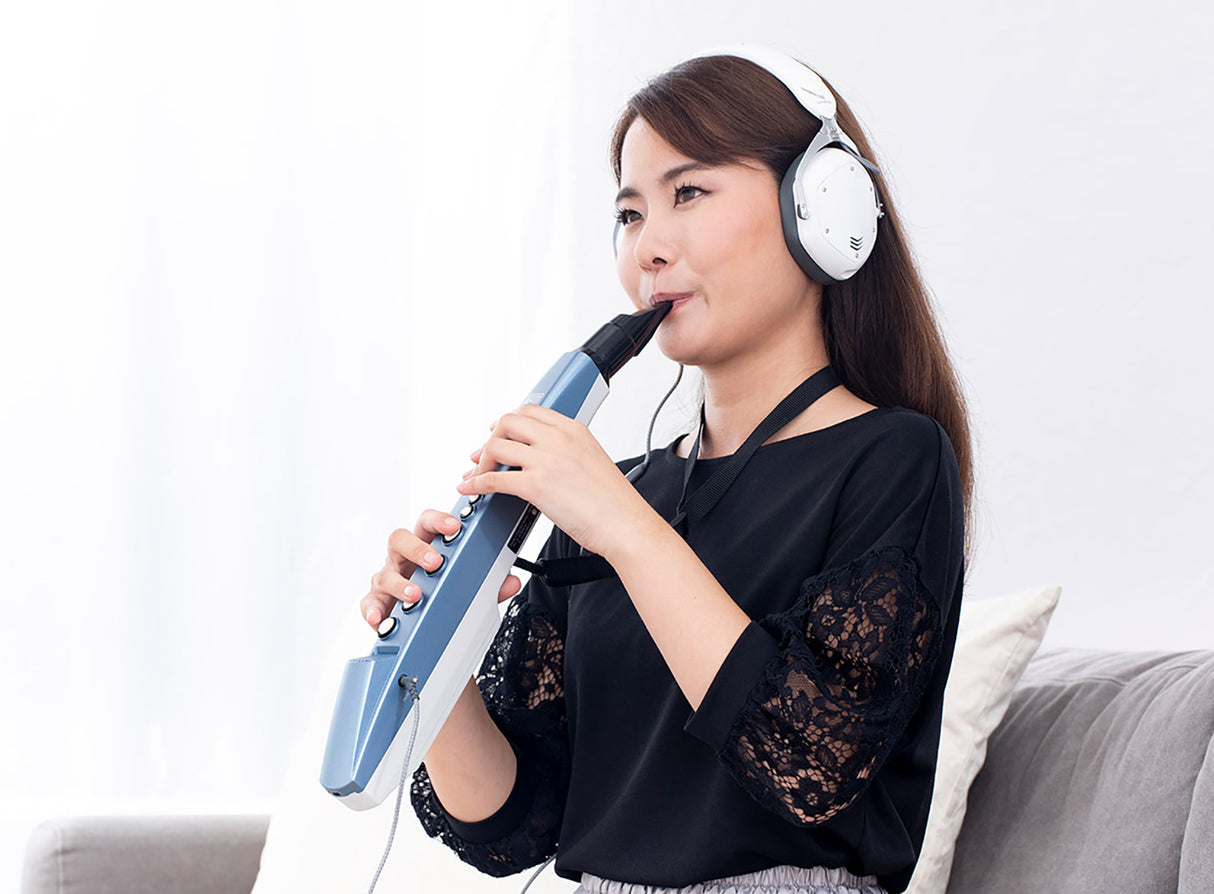 Roland AE-01 El-Blokfløjte (Blå/Hvid)