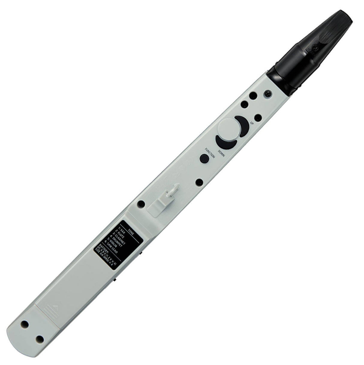 Roland AE-01 El-Blokfløjte (Blå/Hvid)