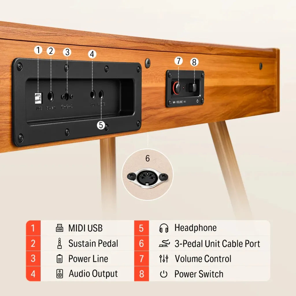 Donner DDP-80 el-klaver træ Komplet Pakke