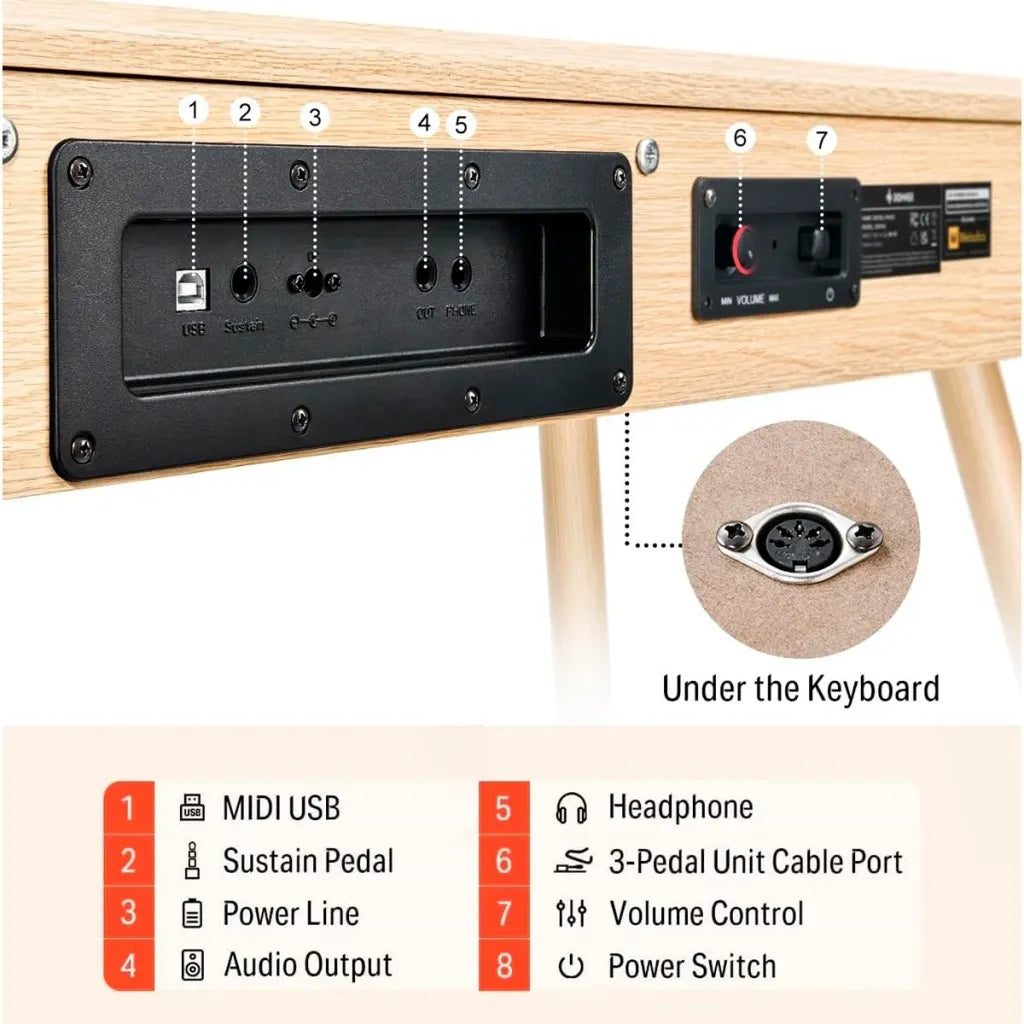 Donner DDP-80 el-klaver beige Komplet Pakke
