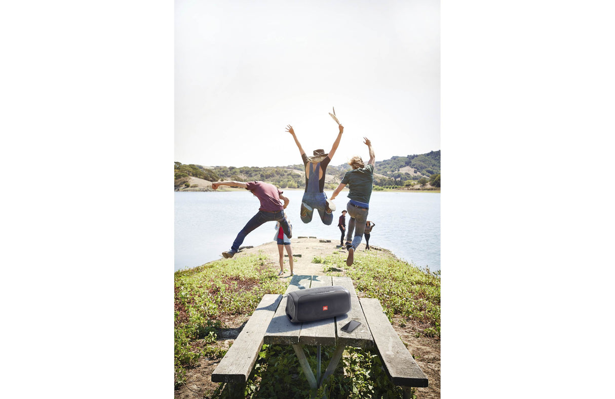 JBL BASS PRO GO All-in-One Subwoofer & Transportabel Højttaler