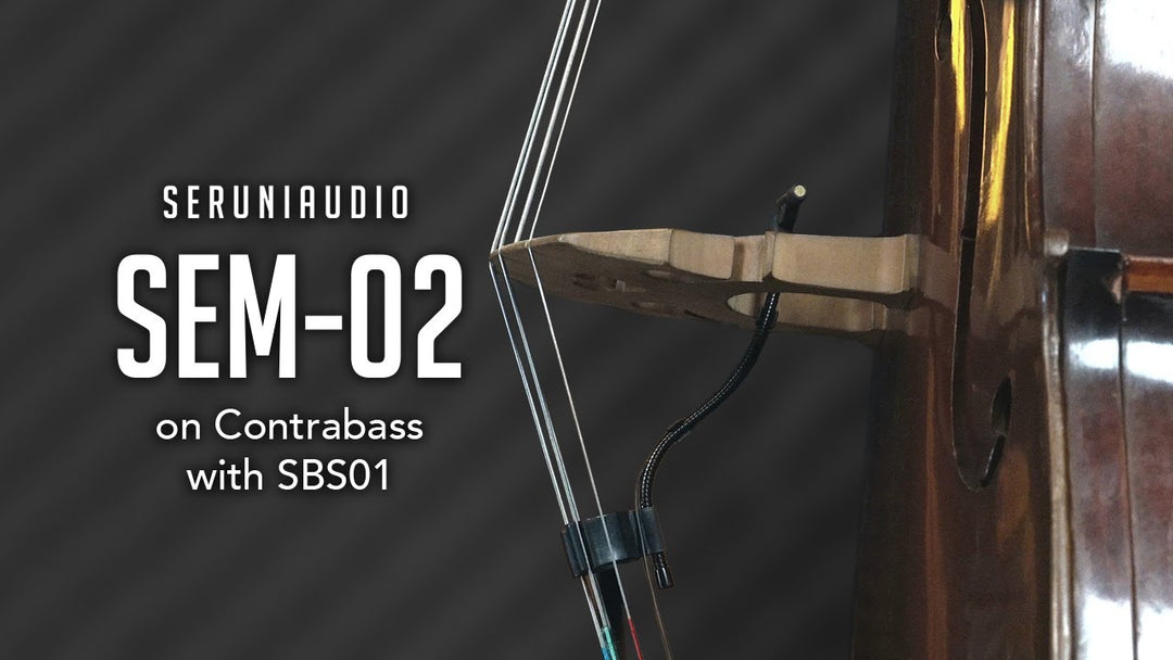 SBS01 Bass Accessory Set