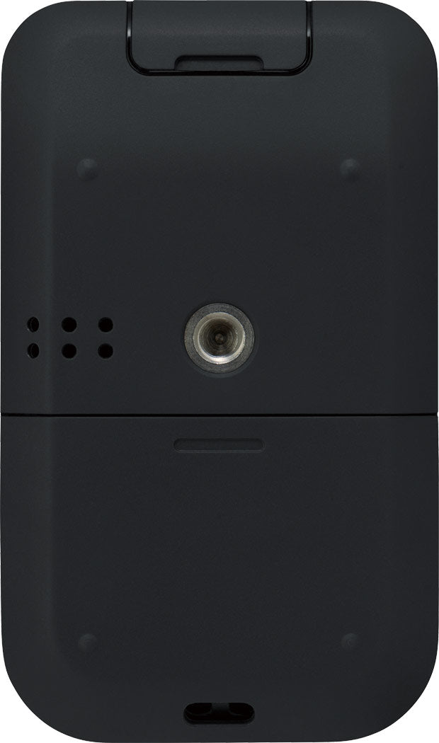 Roland R-07-BK Handy Audio Recorder