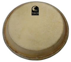Percussion skind
