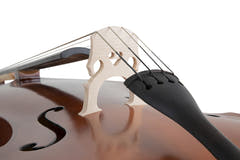 GEWA Double bass Basic Line - Laminated version - 1/2 (Set up made in GEWA Master workshop)