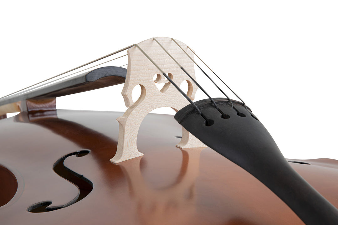 GEWA Double bass Basic Line - Laminated version - 1/2 (Set up made in GEWA Master workshop)