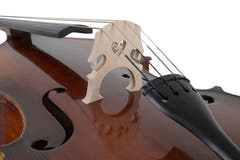 GEWA Double bass Basic Line Solid Version - 4/4 (Set up in the GEWA master workshops)