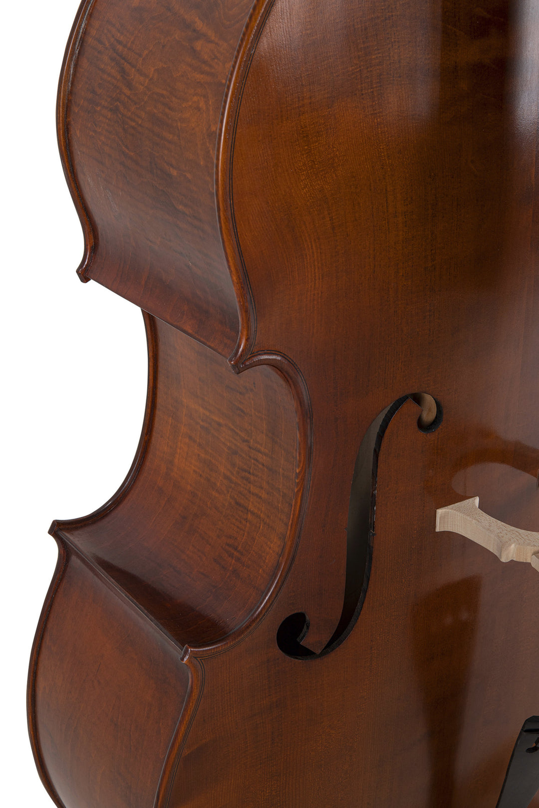 GEWA Double bass Premium Line Semi-solid Model - 3/4 (Set up in the GEWA master workshops)