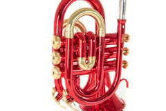 Roy Benson Bb-Pocket trumpet Roy Benson PT-101R - PT-101R