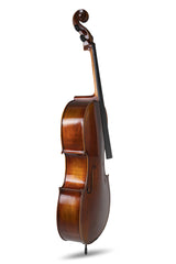 GEWA Cello Allegro Antique - 7/8 (Ready to play incl. bag, Massaranduba bow, Larsen Aurora strings, transport-secured)