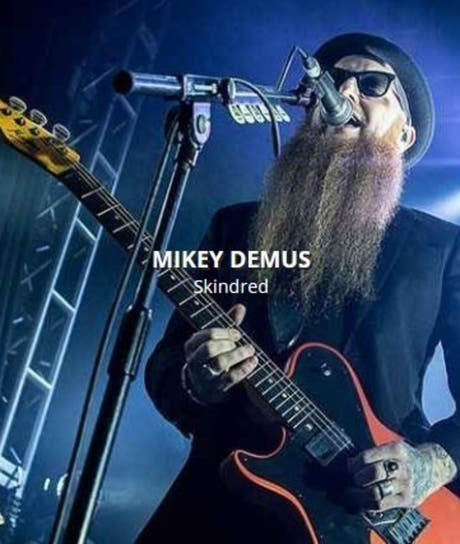 Rotosound MD10 Mikey Demus signatursæt til elguitar 10-54