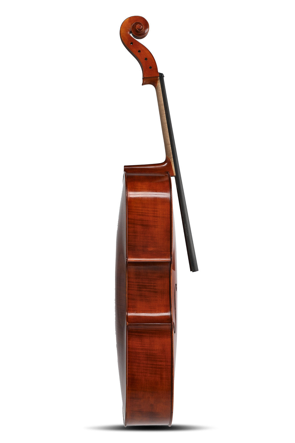 GEWA Europa Maestro cello 4/4, maroon spritlak