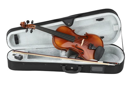 GEWA Violin Anniversary - 4/4 (set up)