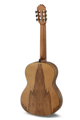 Caballero by MR Principio Series P Olive CA-PMO 120 - Olive (CA-PMO 120)