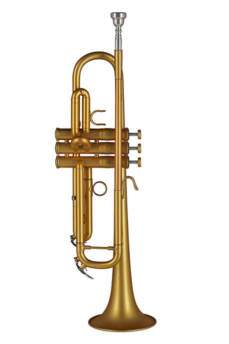 GEWA Vision TR172M Bb-trompet, mat guldlak