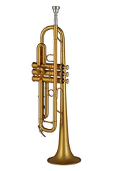 GEWA Vision TR172M Bb-trompet, mat guldlak