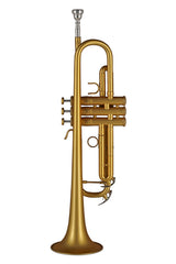 GEWA Vision TR172M Bb-trompet, mat guldlak