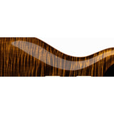 PRS Custom 24 - Black Gold