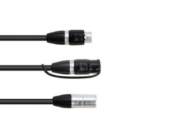EUROLITE Adapter Cable DMX IP XLR 3-pin(m)/2xIP XLR 3-pin(f)