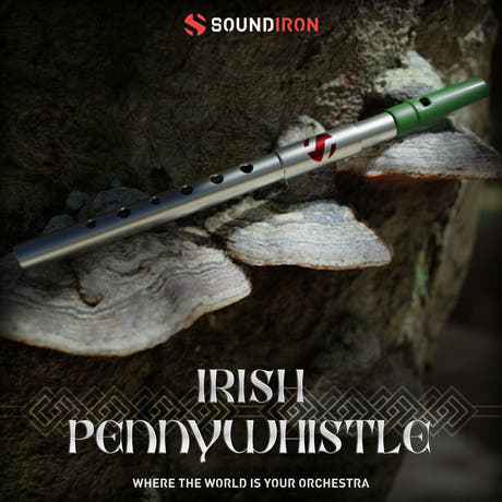 Iron Pack 11 - Irish Penny Whistle