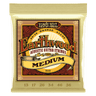Ernie Ball Earthwood Bronze Guitarstrenge (Akustisk)