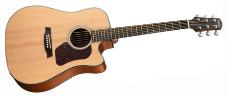 Walden D550CEW Western Guitar (Natur)