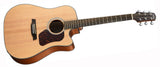 Walden D550CEW Western Guitar (Natur)