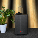 Audioport V15 transportabel aktiv højttaler 500 W med 2 mikrofoner