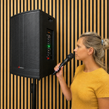 Audioport V15 transportabel aktiv højttaler 500 W med 2 mikrofoner