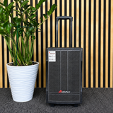 Audioport V8 transportabel aktiv højttaler 250 W med 2 mikrofoner
