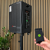 Audioport V8 transportabel aktiv højttaler 250 W med 2 mikrofoner