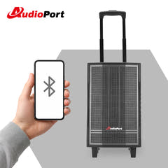 Audioport V8 transportabel aktiv højttaler 250 W med 2 mikrofoner