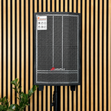 Audioport V8 transportabel aktiv højttaler 250 W med 2 mikrofoner