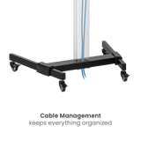 SAMPLEVARE - TV Stativ med hjul