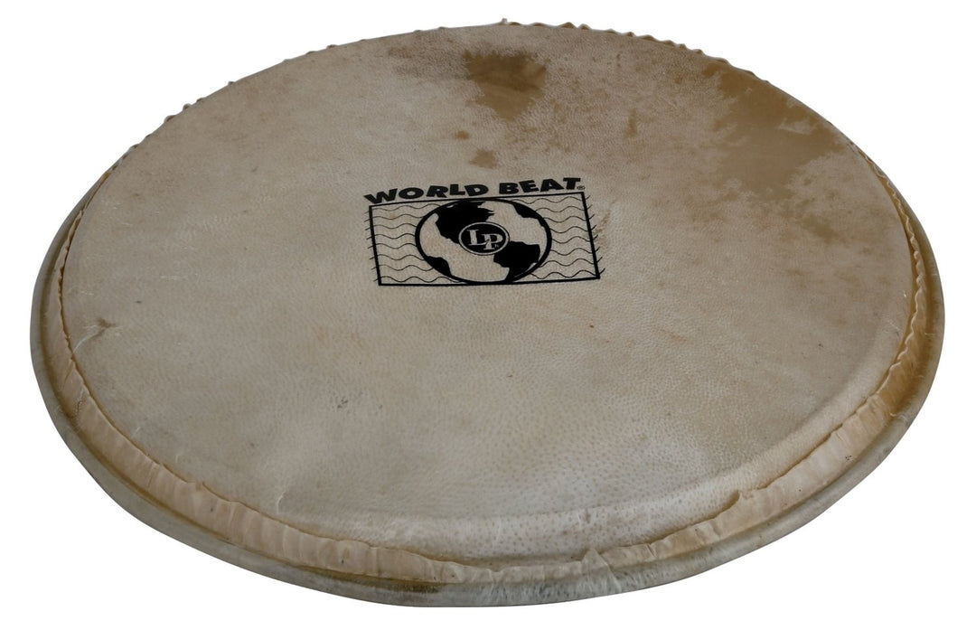 Latin Percussion Percussion head Plenera - 10" (WB505B)