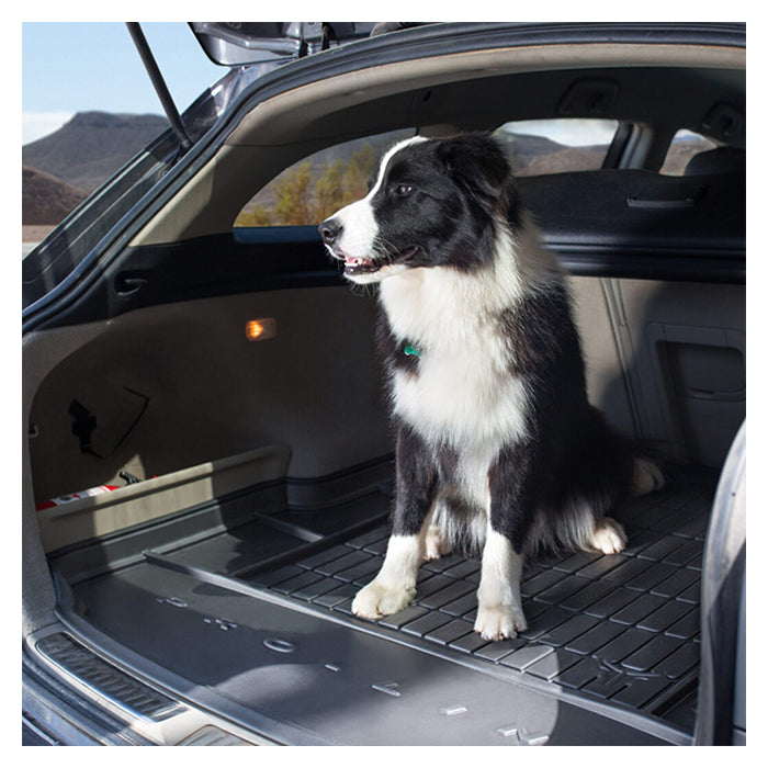 Bagagerumsbakke Jeep Wrangler IV 2017-