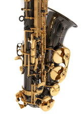 Roy Benson Eb-Alto Saxophone Roy Benson AS-202K - AS-202K