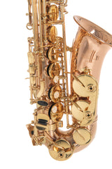 Roy Benson AS-202G Eb-altsaxofon, lakeret