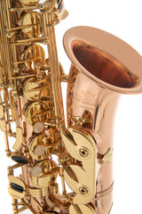 Roy Benson AS-202G Eb-altsaxofon, lakeret