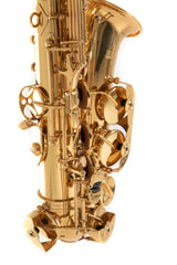 Roy Benson Eb-Alto Saxophone Roy Benson AS-302 - AS-302