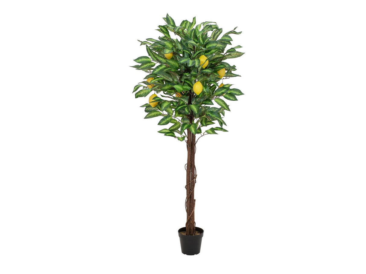 DEMOVARE - Kunstigt Citrontræ (150cm)
