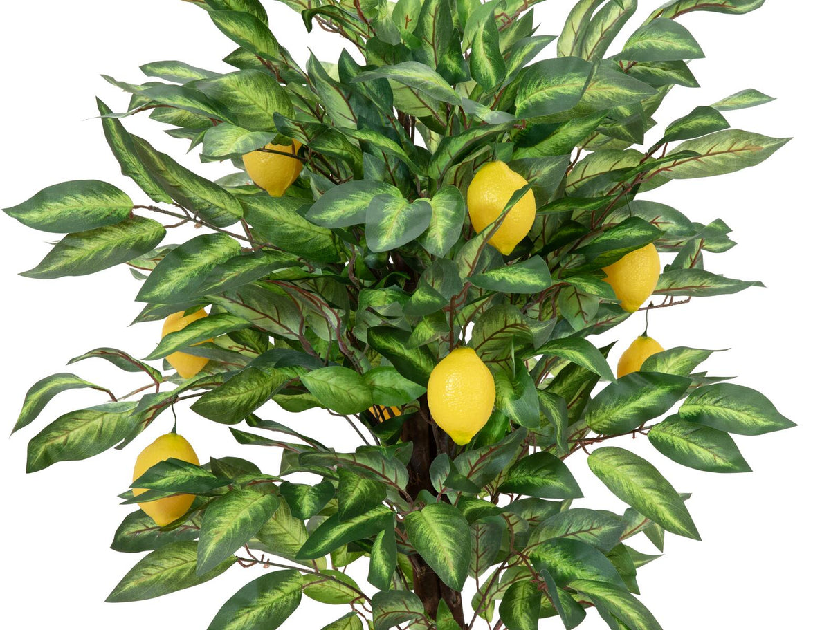 DEMOVARE - Kunstigt Citrontræ (150cm)