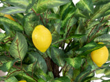 DEMOVARE - Kunstigt Citrontræ (150cm)