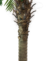 Kunstig Phoenix Palmetræ Luxor (300cm)