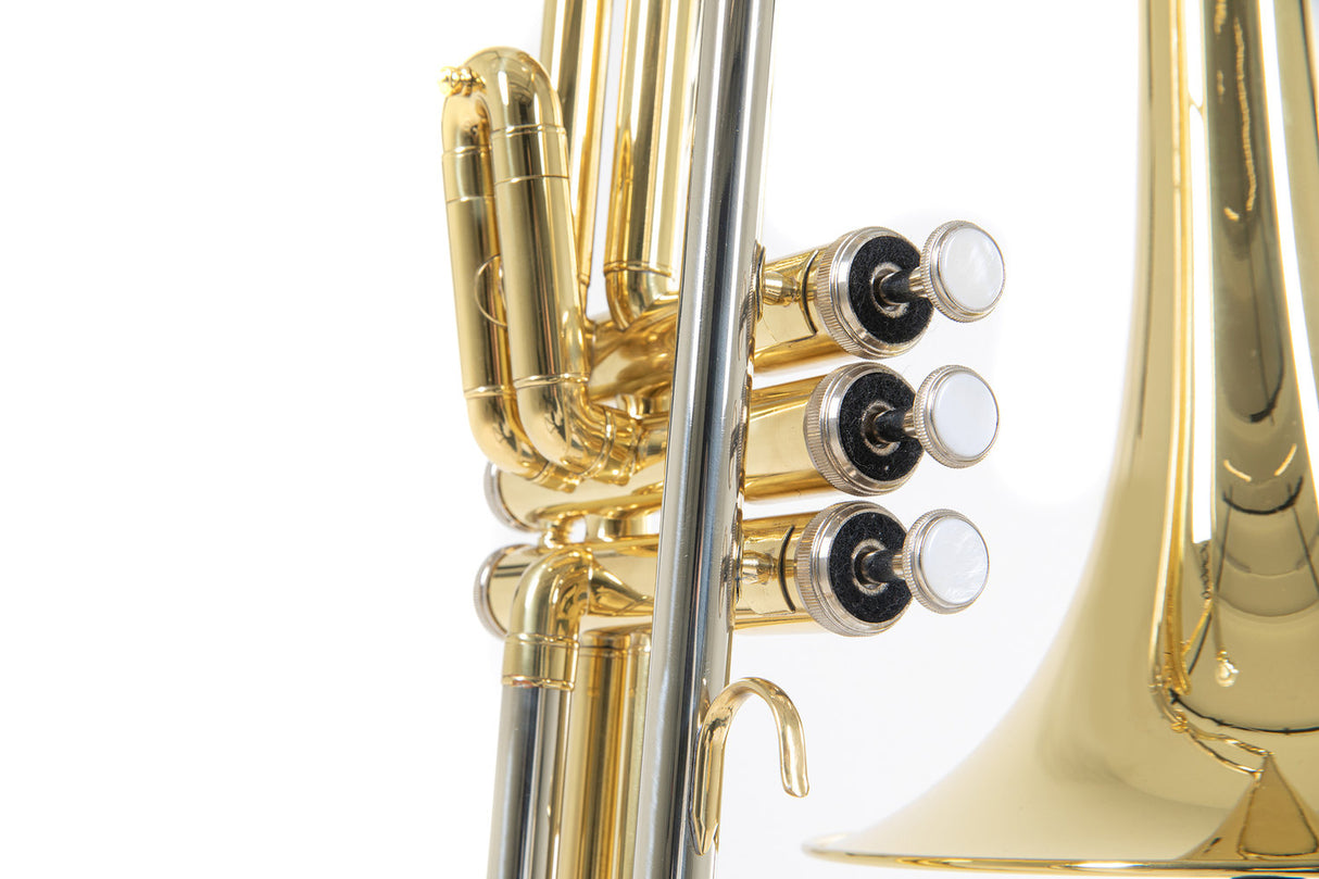 Roy Benson Bb-Valve Trombone Roy Benson VT-227 - VT-227