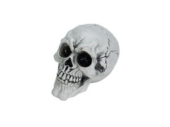 Halloween-kranier i sort og hvid, 3 stk.